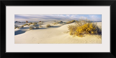 Desert plants in a desert White Sands National Monument New Mexico