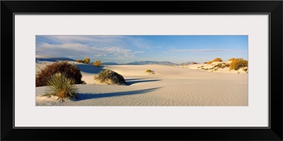 Desert plants in a desert, White Sands National Monument, New Mexico