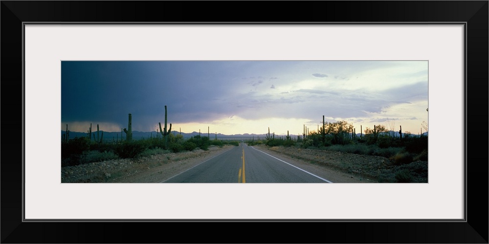 Desert Road near Tucson Arizona