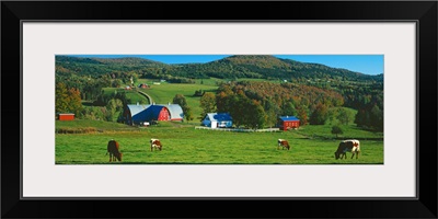 Diamond Heart Farm VT