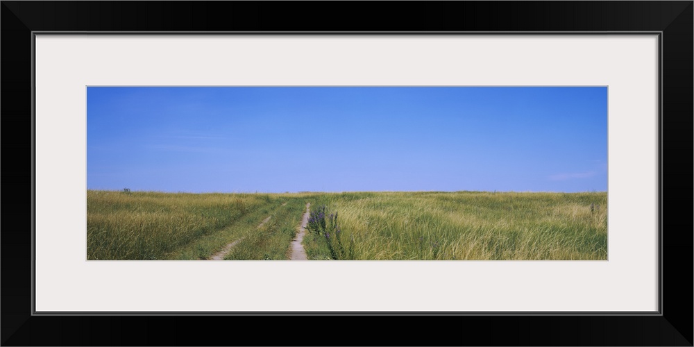 Dirt road passing through a field, along route 83, Cherry County, Nebraska