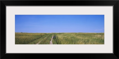 Dirt road passing through a field, along route 83, Cherry County, Nebraska