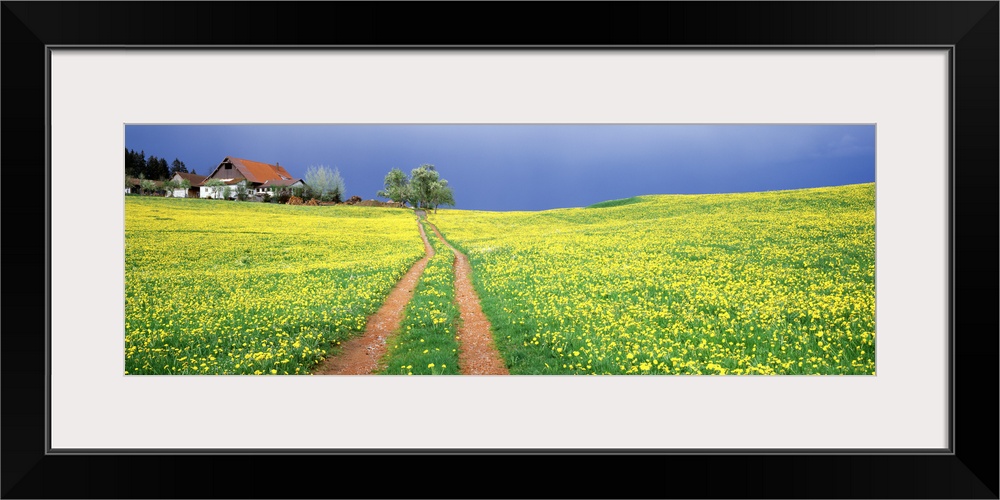 Dirt road passing through a field, Germany