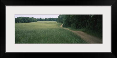 Dirt road passing through a field near Hermann, Missouri