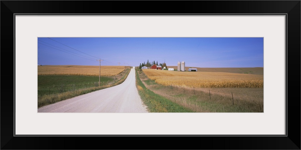 Dirt road passing through corn fields, Minnesota