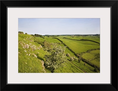 Drumlin Landscape, From Roche Castle, County Louth, Ireland