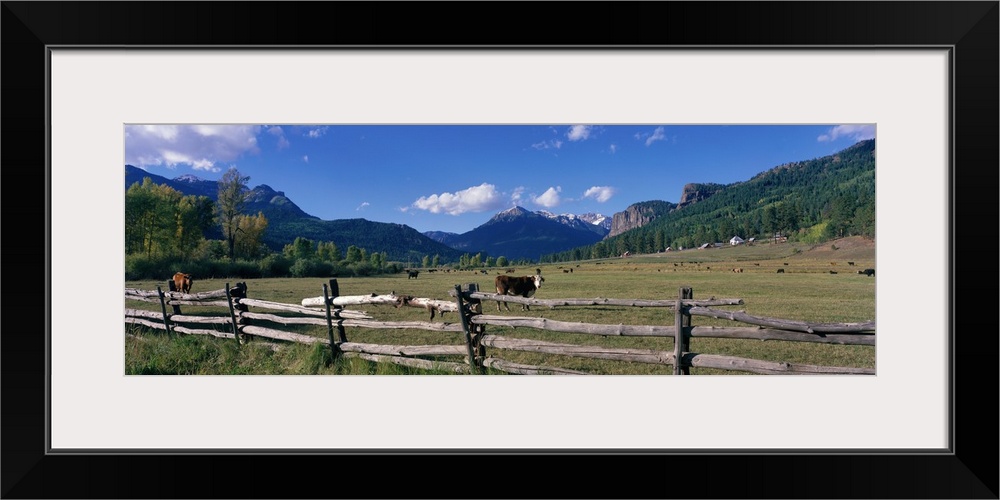 Panoramic photograph of field with cows grazing with wooden fence in the foreground and forest and mountains in the distan...