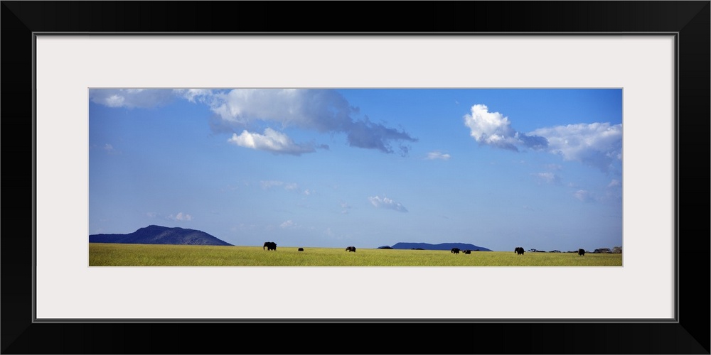 Elephants Serengeti Tanzania Africa