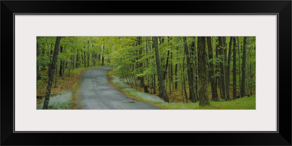 Empty road passing through a forest, Peninsula State Park, Door County, Wisconsin