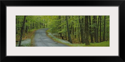 Empty road passing through a forest, Peninsula State Park, Door County, Wisconsin