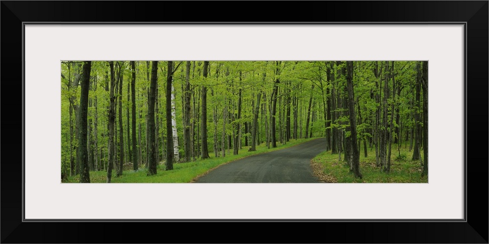 Empty road passing through a forest, Peninsula State Park, Door County, Wisconsin