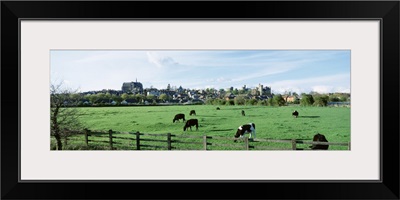 England, West Sussex, Arundel skyline