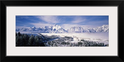 Evergreen trees on a snow covered landscape, Grand Teton National Park, Wyoming
