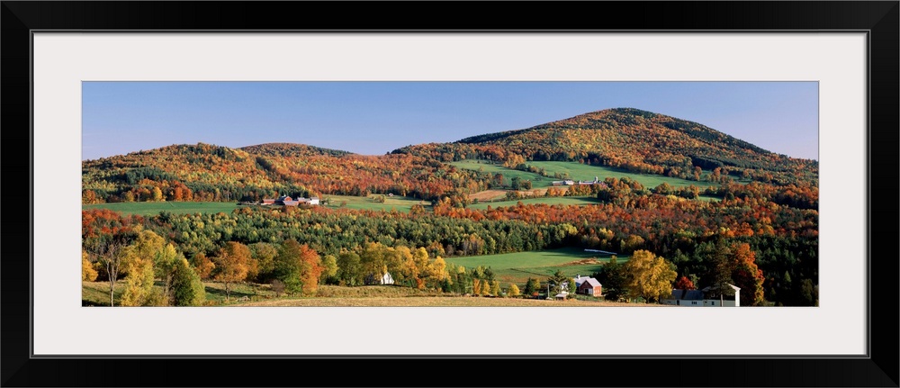 Fall Color Barnet VT