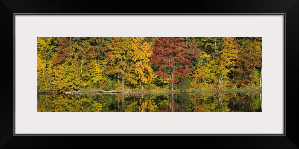 Fall Foliage Saratoga Springs NY