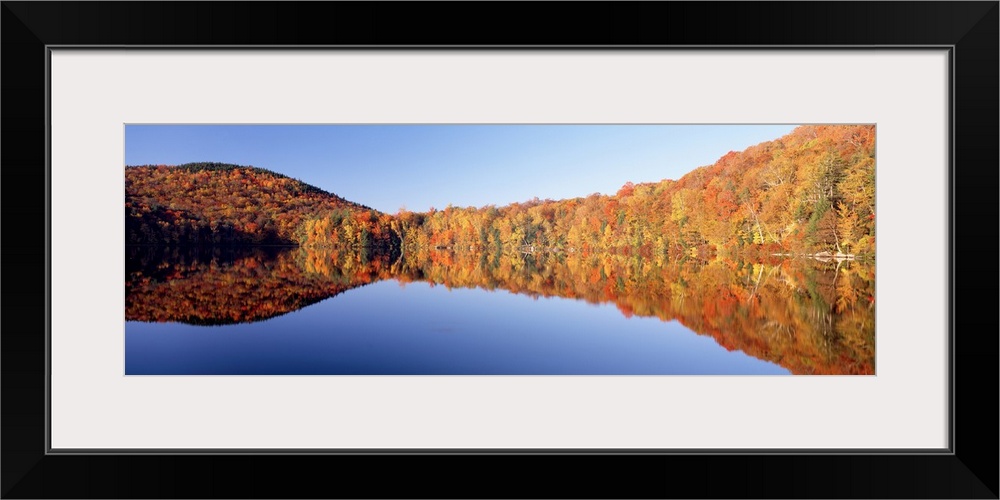 Autumn colored trees line a body of water and are photographed in wide angle view as they reflect perfectly in the still w...