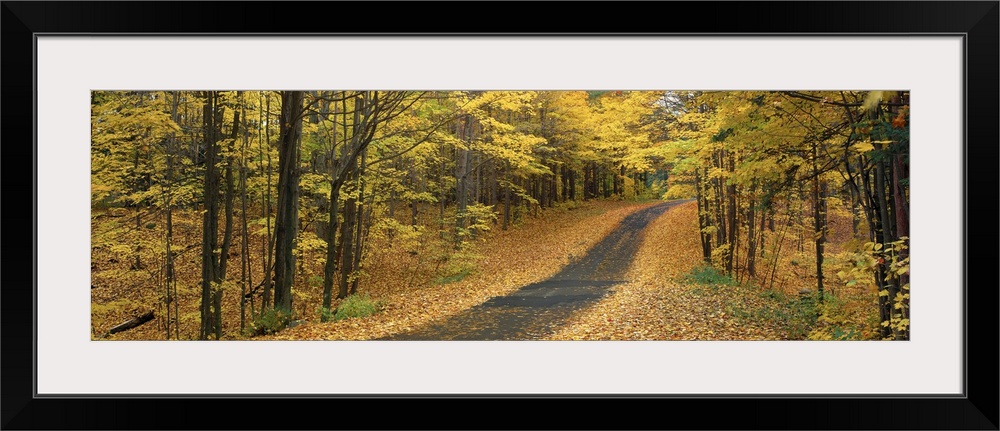 A road winding through the autumn forest at Emery Park in New York.