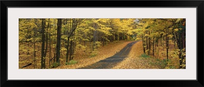 Fall Road Emery Park NY