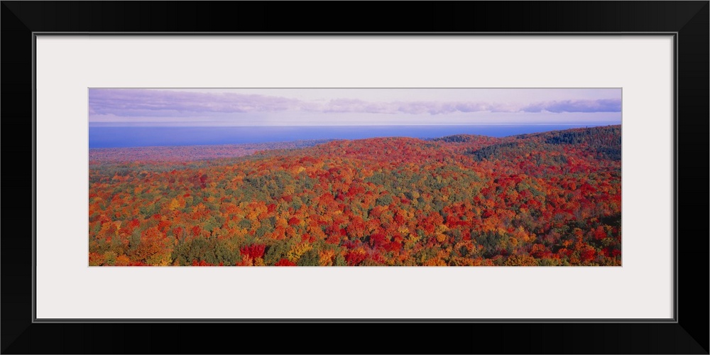 Deciduous forest showing wide array of autumn colors across the hills of Michigan, with a lake in the background.