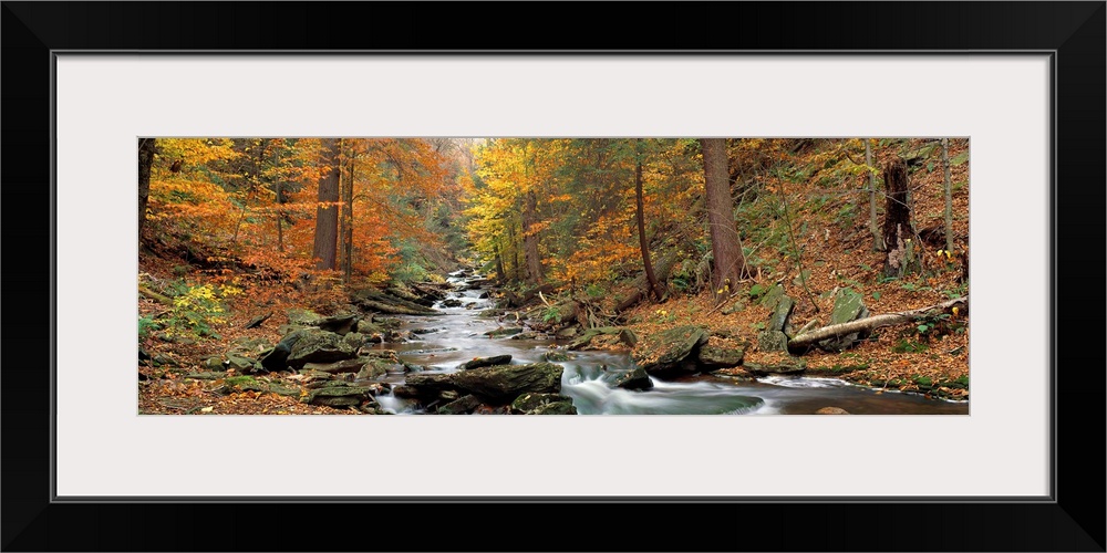 This panoramic wall hanging is a photograph that shows the view up a boulder filled stream in an autumn forest.