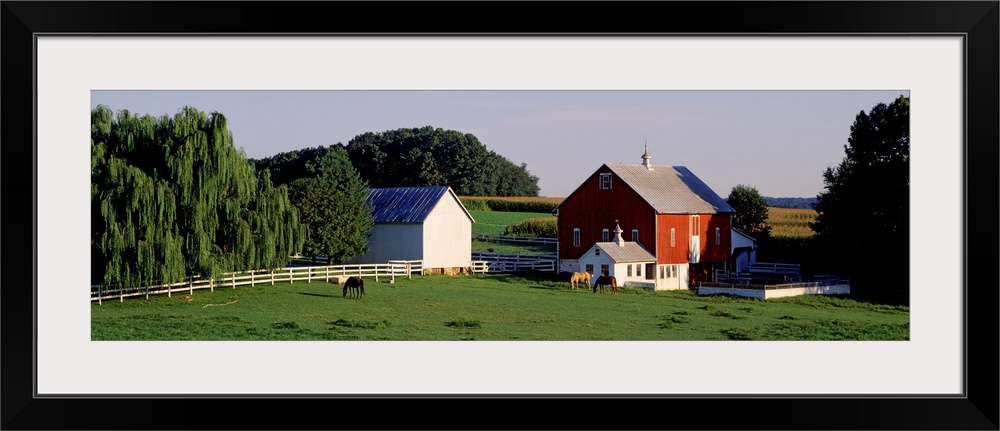 Farm land is photographed in panoramic view with large trees on either side of the barn and in the background.