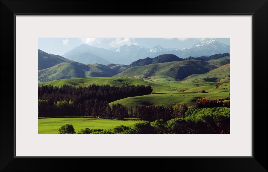 Large fields covered with trees are photographed just in front of mountains that appear to have a layer of mist in front o...