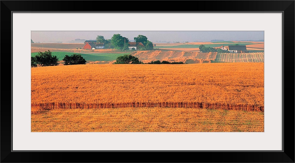 Farm Scene Sweden