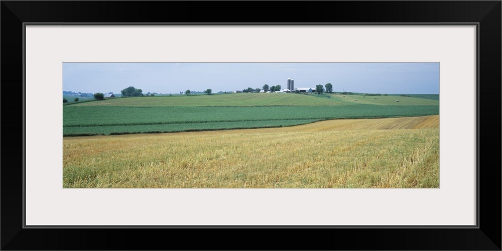 Farm silos in an oat field, Iowa