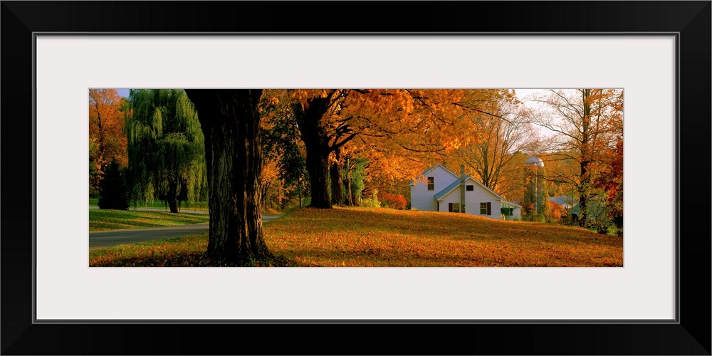 Farmhouse with Autumn Trees near Burlington VT