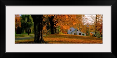 Farmhouse with Autumn Trees near Burlington VT