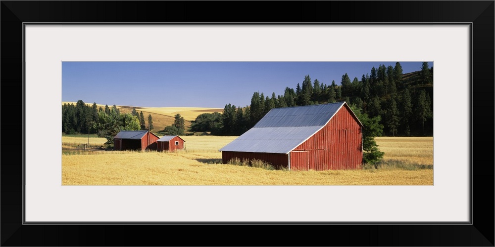 Farmhouses in a wheat field, Washington State