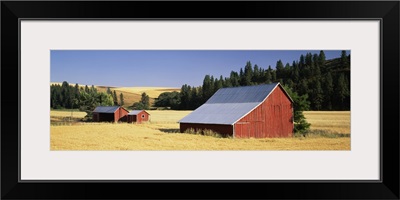 Farmhouses in a wheat field, Washington State