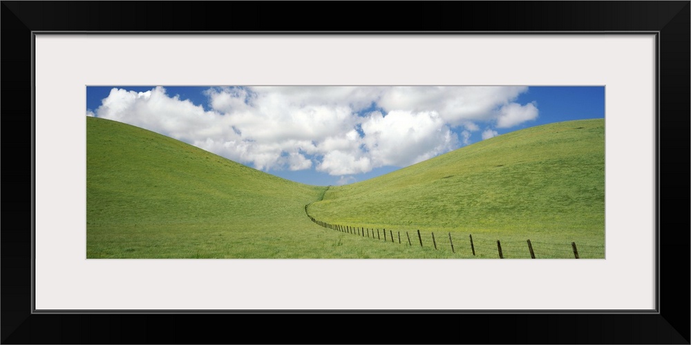 Fence in a field, Livermore Valley AVA, Alameda County, California,