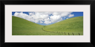 Fence in a field, Livermore Valley AVA, Alameda County, California,