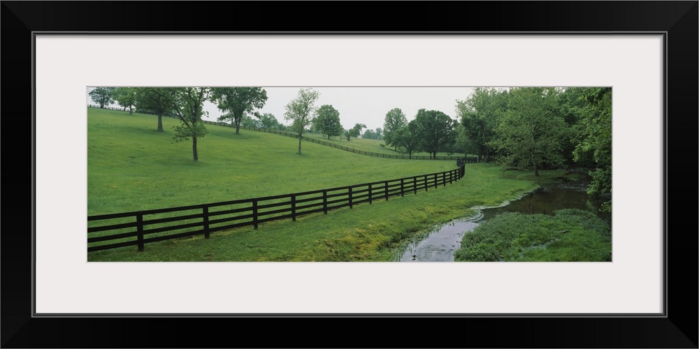 Fence in a field, Woodford County, Kentucky