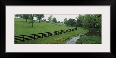 Fence in a field, Woodford County, Kentucky