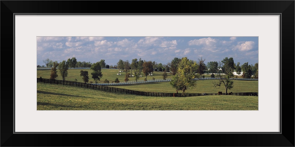 Horse pastures in Lexington KY. Horse pastures with white and black fences on the Blue Grass Tour in Lexington, KY.