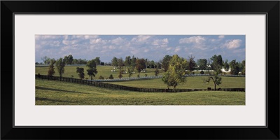 Fence in a pasture, Lexington, Fayette County, Kentucky