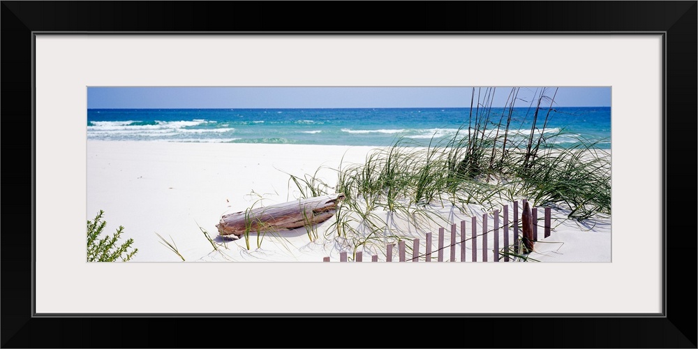 Oversized landscape photograph of a fence running through grasses on the beach, in front of the rippling waters of the Gul...