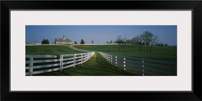 Fences around ranches, Lexington, Kentucky