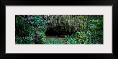 Fern Grotto Wailua River State Park Kauai Hawaii