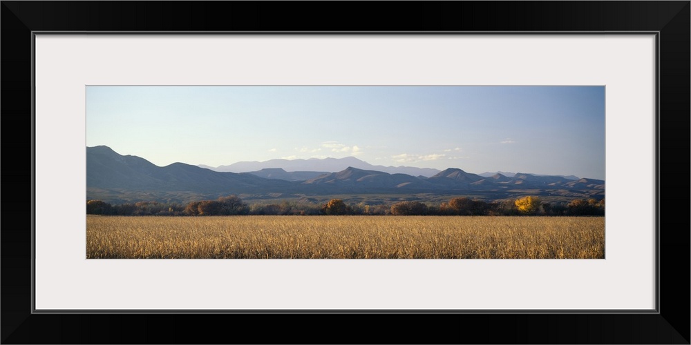 A panoramic landscape of mountains and fields in New Mexico's wildlife refuge Bosque del Apache.