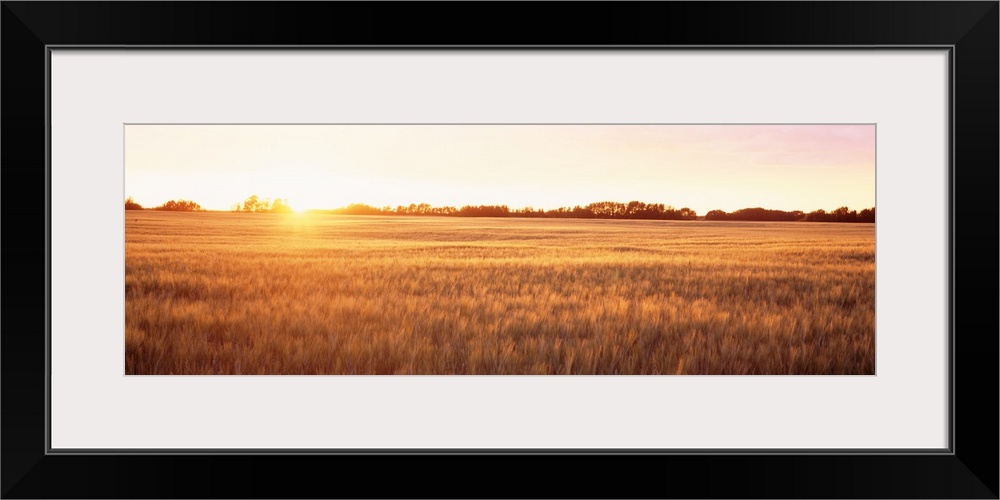 This wide angle shot is taken of a vast open field as the sun shines brightly dipping below the horizon.