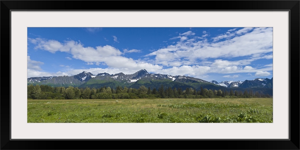 Field with a mountain range in the background, Kenai Peninsula, Seward, Alaska, USA