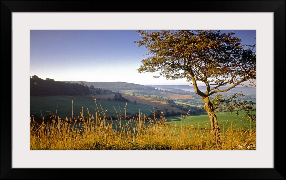 Fields Gloucestershire England