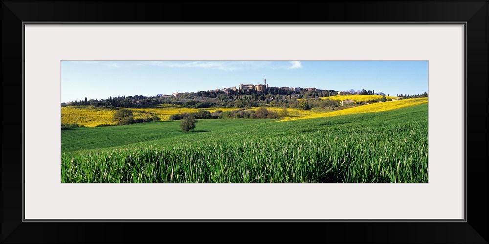 Fields with a village in the background, Pienza, Tuscany, Italy