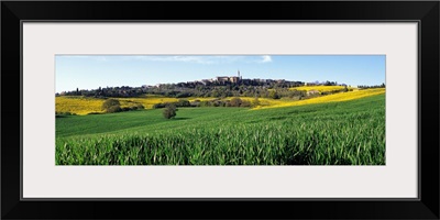 Fields with a village in the background, Pienza, Tuscany, Italy