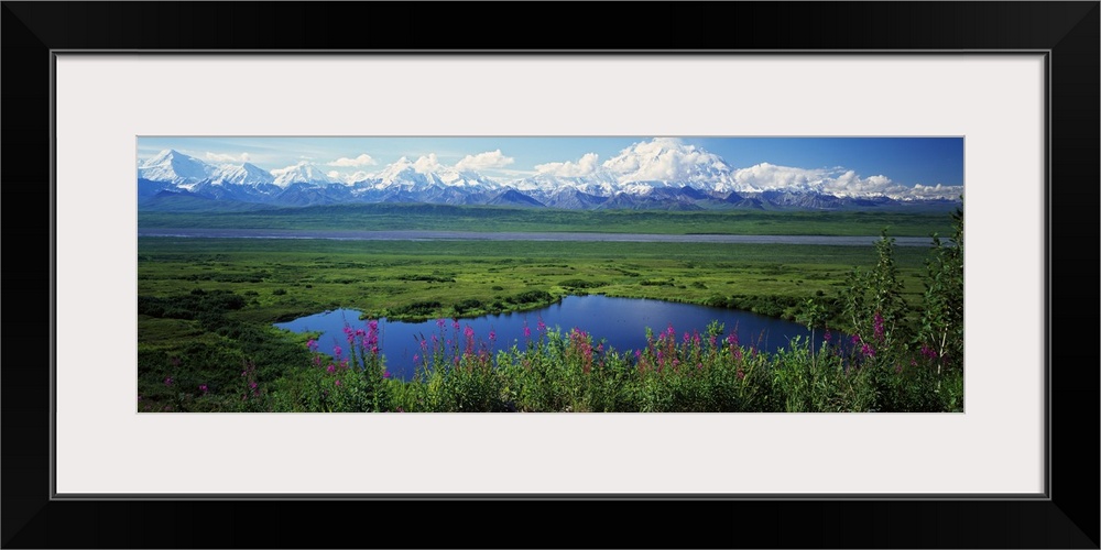 View of the Alaskan wilderness, with wildflowers in the foreground, small ponds, and a mountain range full of snowy peaks.