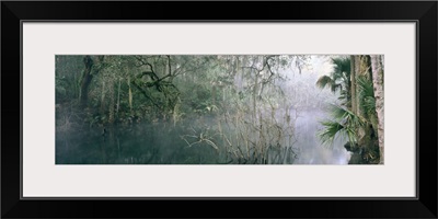 Florida, Blue Springs State Park, View of mist over a lake in the wilderness