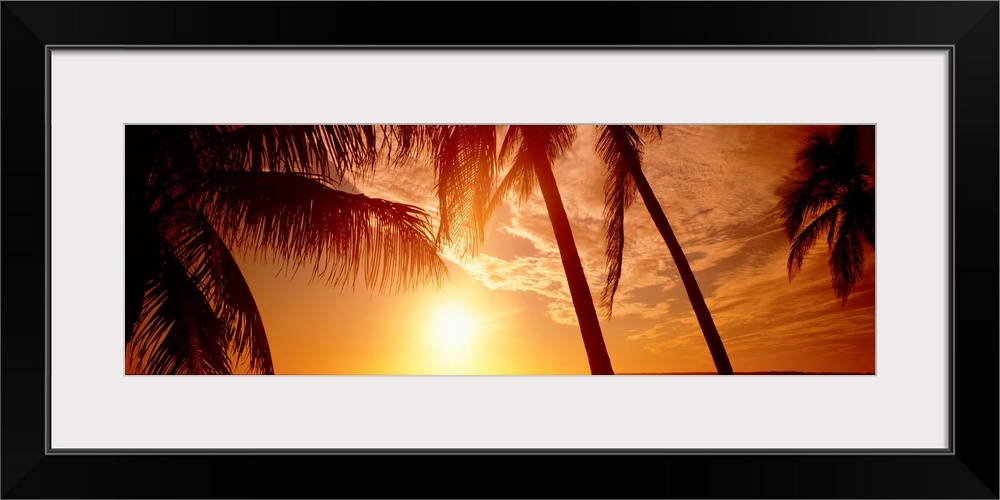 Large panoramic wall photograph of palm trees waving in front of a golden sunset in Fort Meyers, Florida.